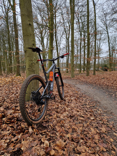 TranceX carbon wielen 2.jpg