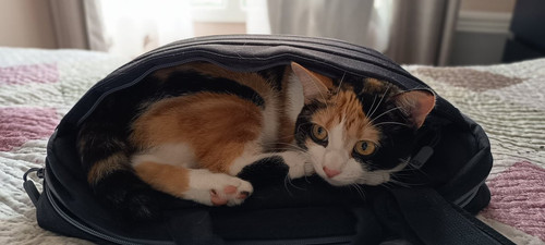 GlhTNPjW0AAHc8F.jpg