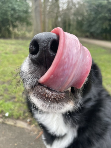 GmO oZIXsAApISa.jpg