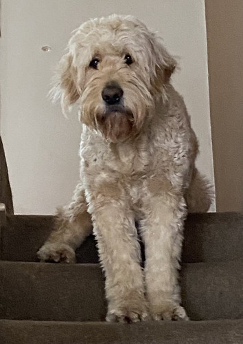 GmMFVUoXEAATzVY.jpg