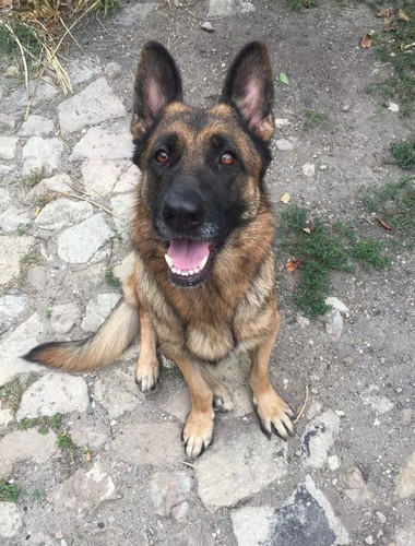 IMG 20250528 015441 345.jpg