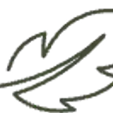vector 9
