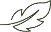 vector 9.webp