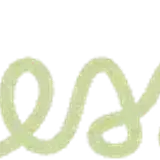 vector 2