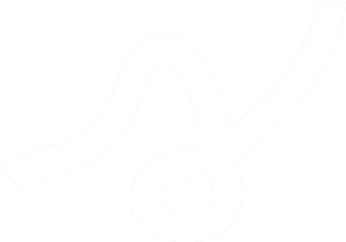 transparent s.webp