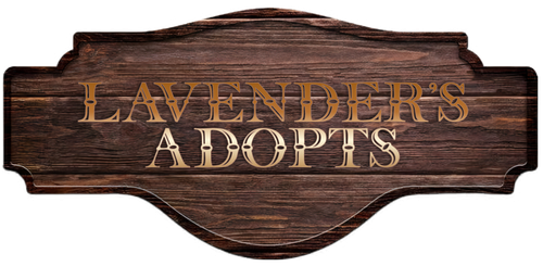 photostudio 1748387993644.png