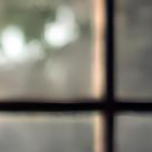 image4x1.png