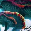 image1x3.png