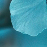 image1x4.png