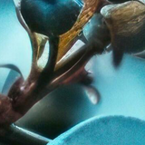 image1x2.png