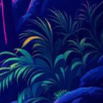 image5x4.png