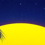 image3x1.png