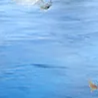 image1x4.png