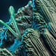 image1x1.png