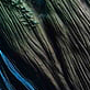 image1x2.png