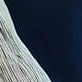 image3x1.png