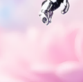 image2x5.png