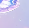 image5x4.png