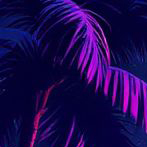 image1x1.png