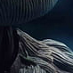 image3x4.png