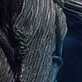 image3x5.png