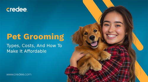 Pet Grooming: Types, Costs, And How To Make It Affordable.png