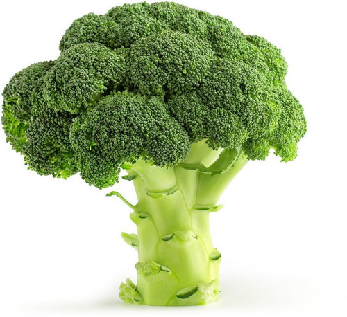 seedlings india 50 broccoli orig.jpg