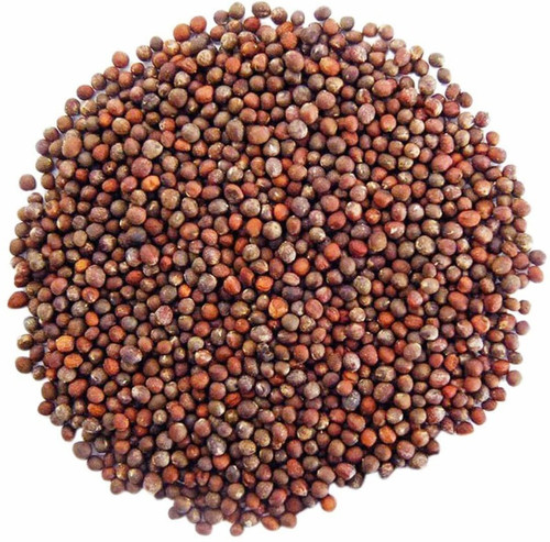 50 xxl 2 hybrid broccoli seed vi.jpg