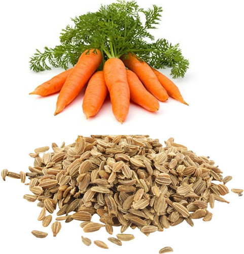 100 carrot seeds gajar ke beej o.jpg