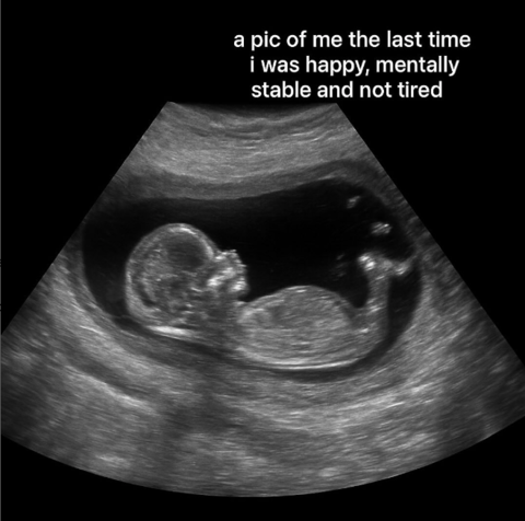 image (1).png