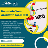 Dominate Your Area with Local SEO