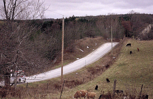 tumblr 6b4abb5fd445c9830ee5e7598e038d05 8773376c 540.gif