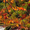 image3x2.png