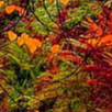 image4x2.png