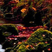 image4x3.png