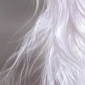 image1x3.png