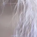 image1x4.png