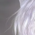 image1x2.png