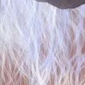image2x5.png