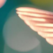 image1x2.png