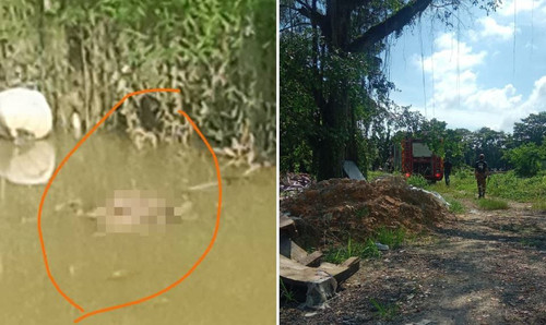 bhmayat 1748423689.jpg