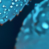 image1x5.png