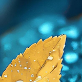 image3x2.png