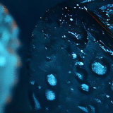 image3x5.png