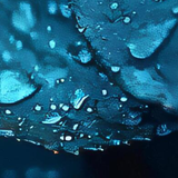 image5x2.png