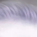 image3x1.png