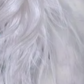 image5x4.png