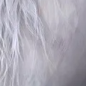 image5x5.png