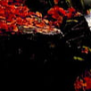 image1x4.png