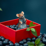 www.naked-ai.art - A red box of blue berries with a rat dancing inside